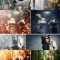 Creativemarket Bokeh Cinematic Effect Photoshop Action Free Download