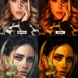 Dark Gold Lightroom Presets Free Download