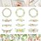 Delicate GARDEN – Watercolor Flowers PNG Collection Free Download