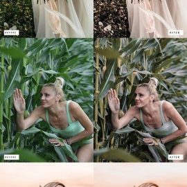 GraphicRiver – 15 Golden Hour Lightroom Presets 42665694 Free Download