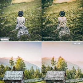 Insta Theme Lightroom Presets Dekstop and Mobile R433D42 Free Download