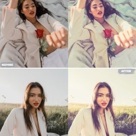 Matte Look Lightroom Presets Dekstop and Mobile Free Download