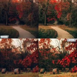 Wild West Lightroom Presets Dekstop and Mobile Free Download