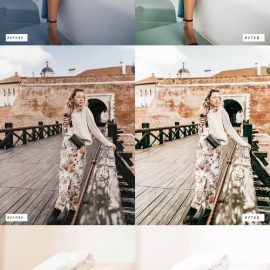 15 Royal Pro Lightroom Presets Free Download