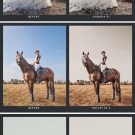 20 Earthy Lightroom Presets & LUTs Free Download