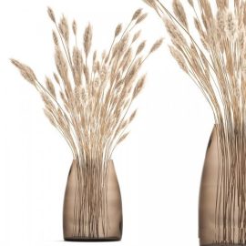 Bouquet Of Dried White Reeds In A Vase 149 Free Download