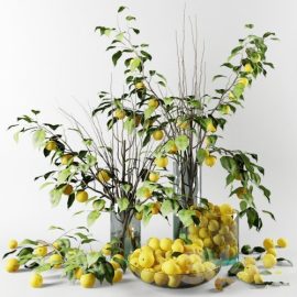 Bouquet of Chinese apple tree branches with yellow apples Free Download