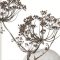 Decorative set with ceramic and heracleum 09 Free Download