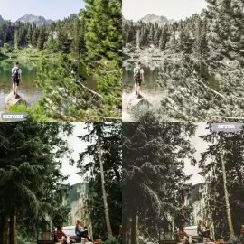 Forest Filter Lightroom Presets Dekstop and Mobile Free Download