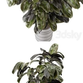 Indoor Plants in rusty Concrete Pot – Set 549 Free Download