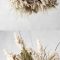 Pendant Decor Pampas Grass And Dried Palm Leaves Free Download