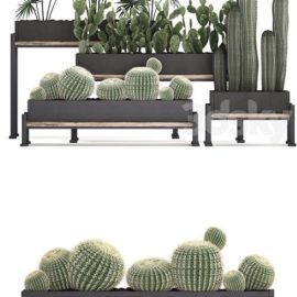 Plant Collection 462 Free Download