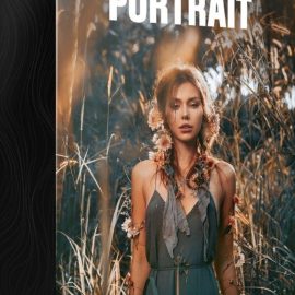 Presetpower – Portrait Presets & Luts Free Download