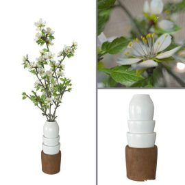 Prunus domestica vase Free Download