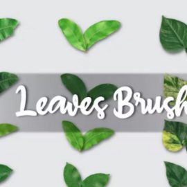 Realistic Leaves Brush for Illustrator Free Download