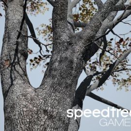 SpeedTree Games 9.3.0 Enterprise Win x64 Free Download