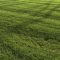 lawn landscape 3d model Free Download