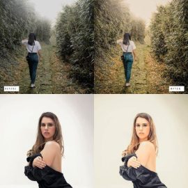 10 Geranium Lightroom Presets Free Download