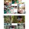 10 Mobile Lightroom Presets Tulum Free Download