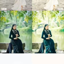 15 Gooseberry Premium Lightroom Presets Free Download