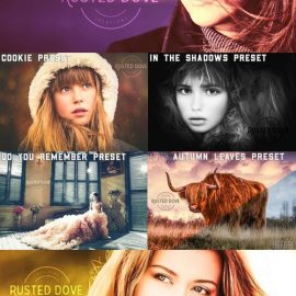 300 Professional Lightroom Presets Free Download