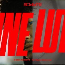 AcidBite Cine LUTs Free Download