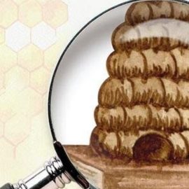 Beehive Watercolor Clipart Design Free Download