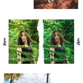 Nature Vol. 2 – 15 Premium Lightroom Presets Free Download