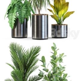 Plants collection 547 | Vray+Corona Free Download