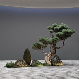 Pro 3DSky Decor With Pine Free Download