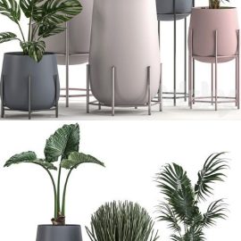 Pro 3DSky Plant Collection 547 Free Download