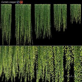 Vernonia Elliptica | Curtain creeper | Vray+Corona Free Download