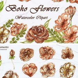 Watercolor png clipart Boho Flowers Free Download