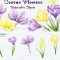 Watercolor png clipart Spring Flowers Crocus Free Download