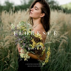 Archipelago Quest – Quest 24 Floresce Presets Free Download