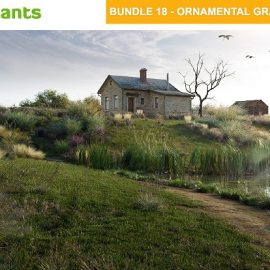 Globe Plants Bundle 18 Ornamental Grasses Free Download