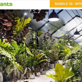 Globe Plants Bundle 30 Interior Pot Plants Free Download