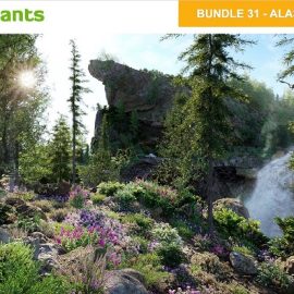 Globe Plants Bundle 31 Alaskan Plants Free Download