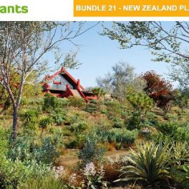 Globe Plants – Bundle 21 – New Zealand Plants Free Download