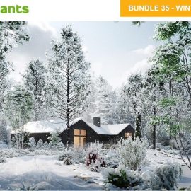 Globe Plants – Bundle 35 – Winter Plants Free Download