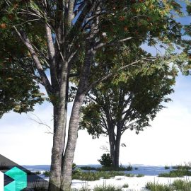 Gumroad Game-Ready Tree Creation from Maya to Unreal Free Download