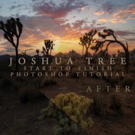 Joshua Tree Start to Finish