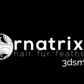 Ornatrix 7.4.0.31533 For 3ds Max 2021-2023 Free Download