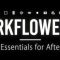 Aescripts Workflower v2.0 Free Download