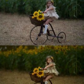 Djeirana Photography – Sunflower Edit