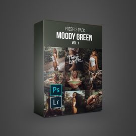 Thiago Bonfim – Presets Moody Green Vol.1 Free Download