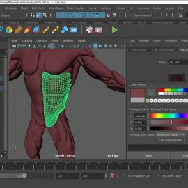 The Gnomon Workshop – Introduction to Ziva VFX: Volume 1 Free Download