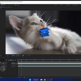 Udemy – Adobe After Effects. Micro Animation Free Download