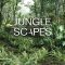 Blendermarket – Base Meshes Character Starter Kit and Blender Jungle Scapes Addon Blend Format Free Download