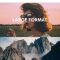 CINECOLOR – Large Format LUTs Free Download